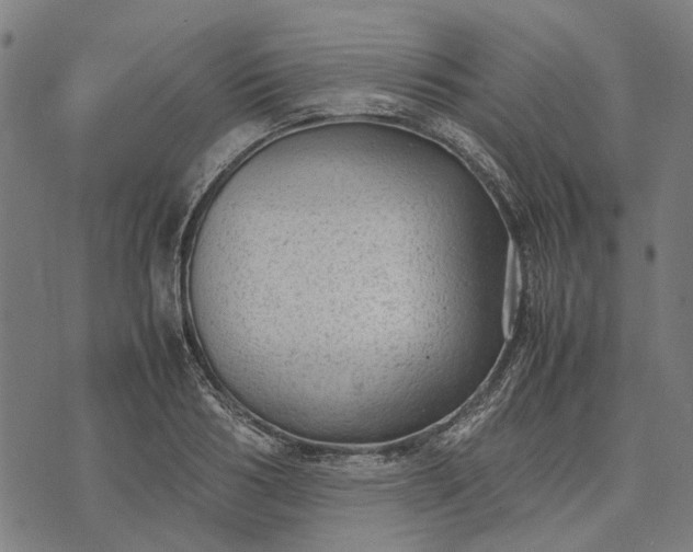 X0000070390986200606231733