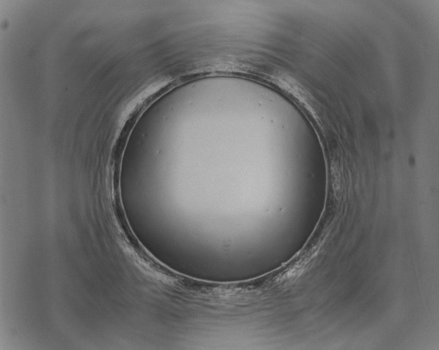 X0000070390987200606231733