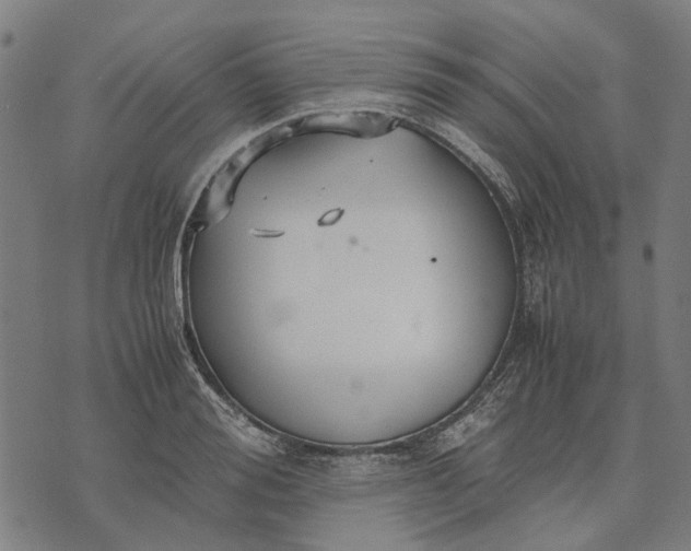 X0000070390988200606231733