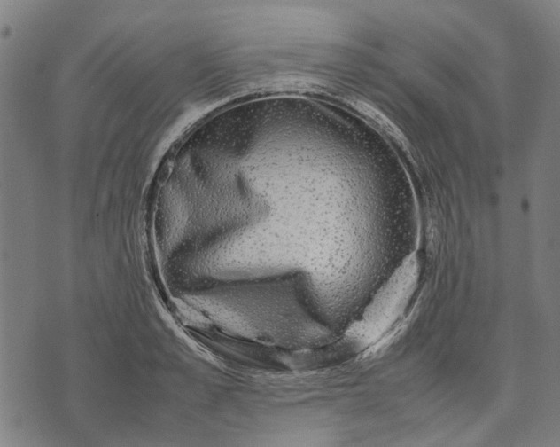 X0000070390989200606231733