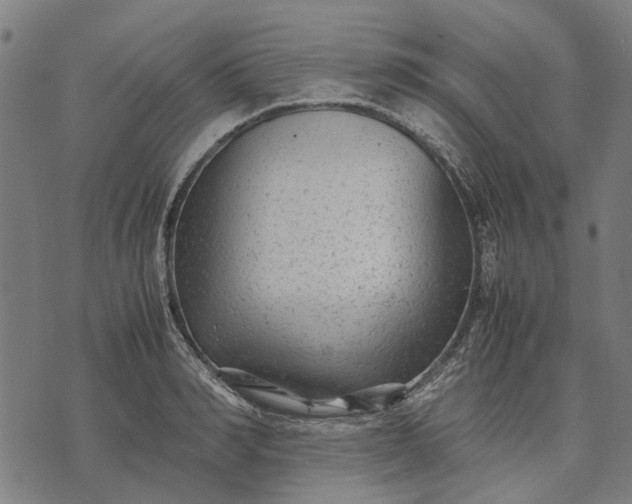 X0000070390990200606231733