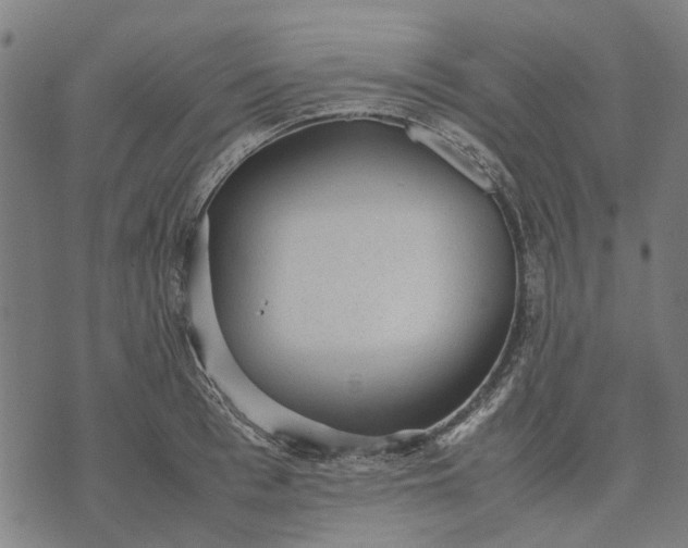 X0000070390993200606231733