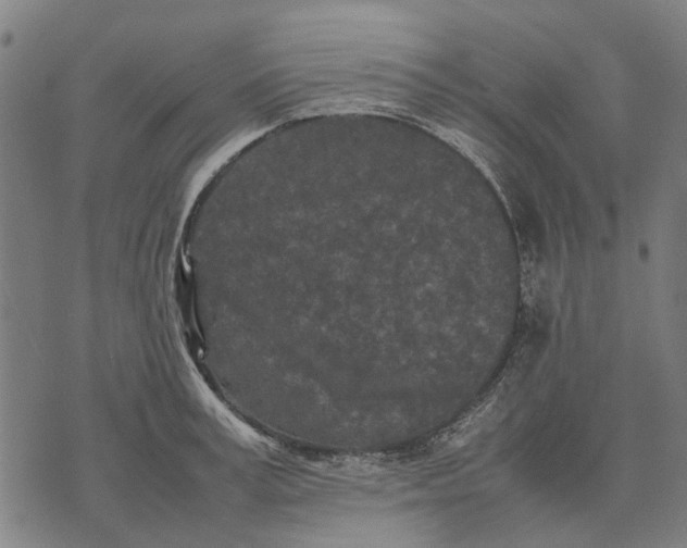 X0000070390995200606231733