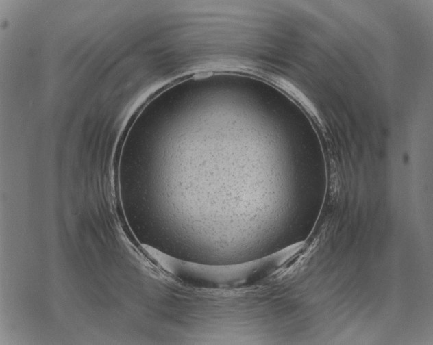 X0000070390996200606231733