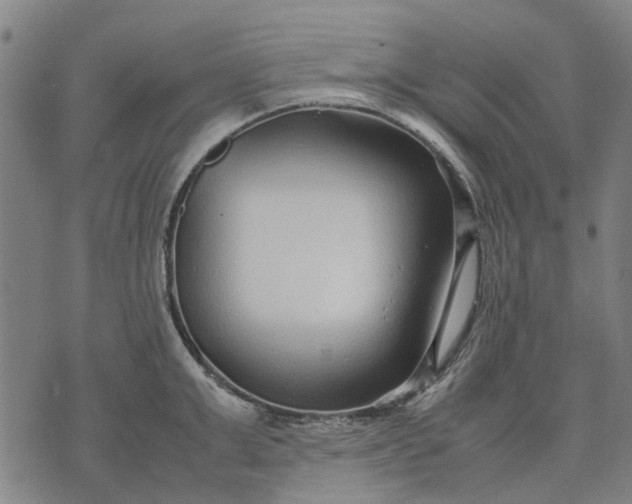 X0000070390999200606231733