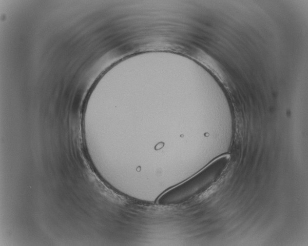 X0000070391000200606231733