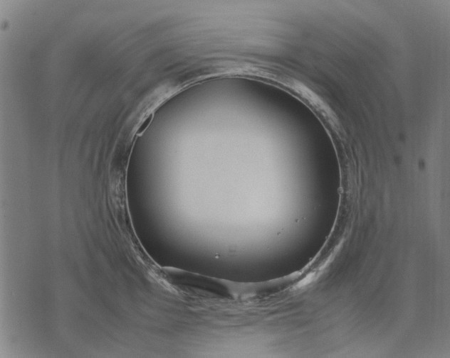 X0000070391001200606231733