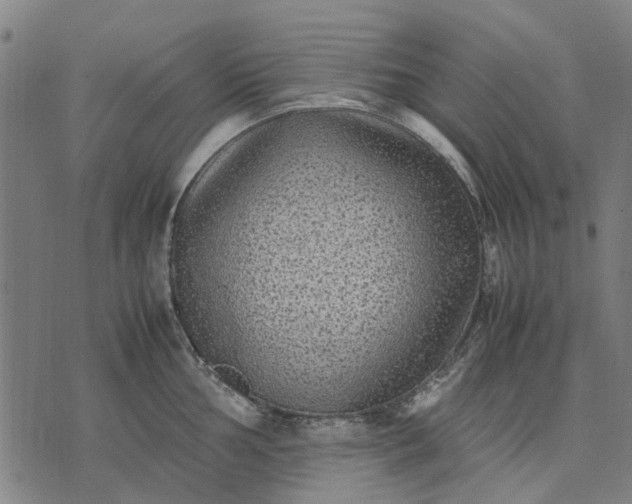 X0000070391002200606231733