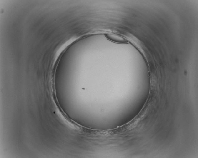 X0000070391003200606231733