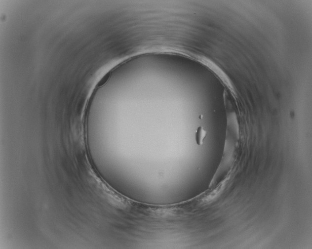 X0000070391004200606231733