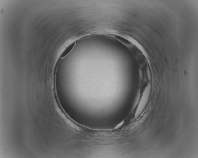 X0000070391005200606231733