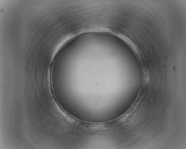 X0000070391006200606231733