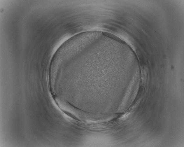 X0000070391007200606231733