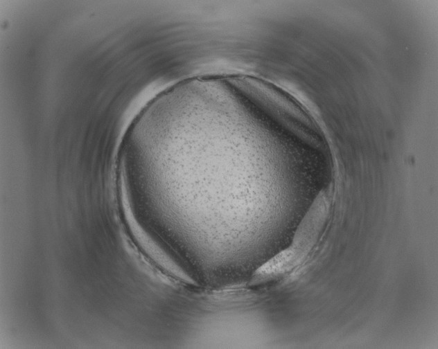 X0000070391008200606231733