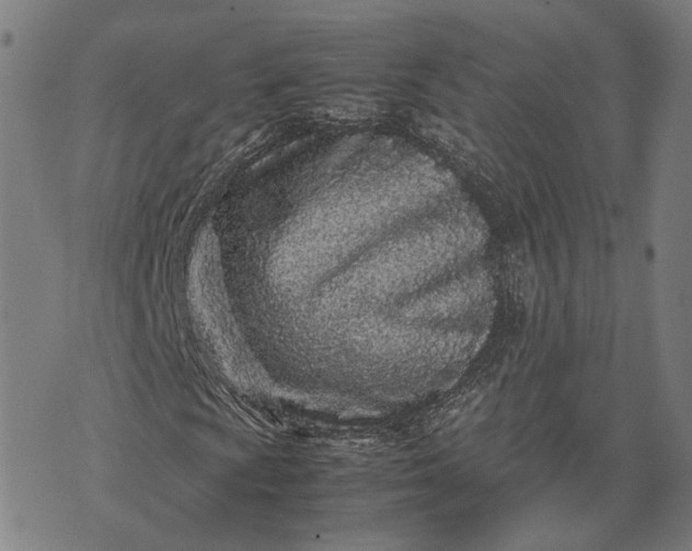 X0000070391009200606231732