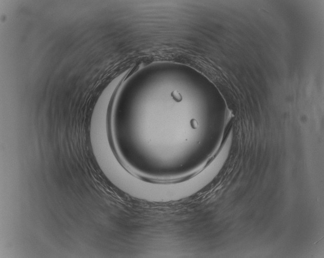 X0000070391010200606231732