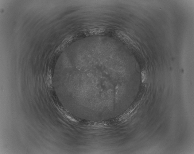 X0000070391011200606231732