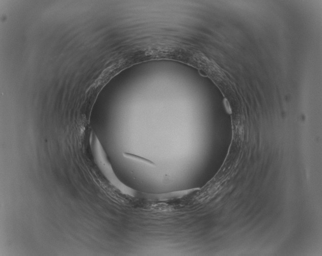 X0000070391012200606231732