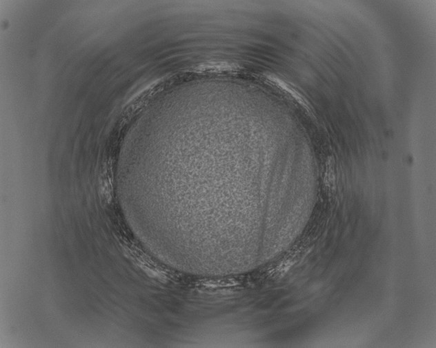 X0000070391015200606231732