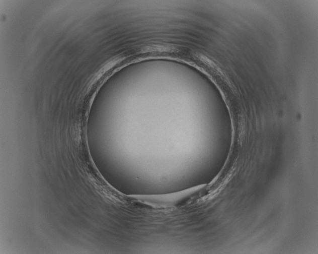 X0000070391017200606231732