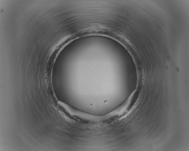 X0000070391018200606231732