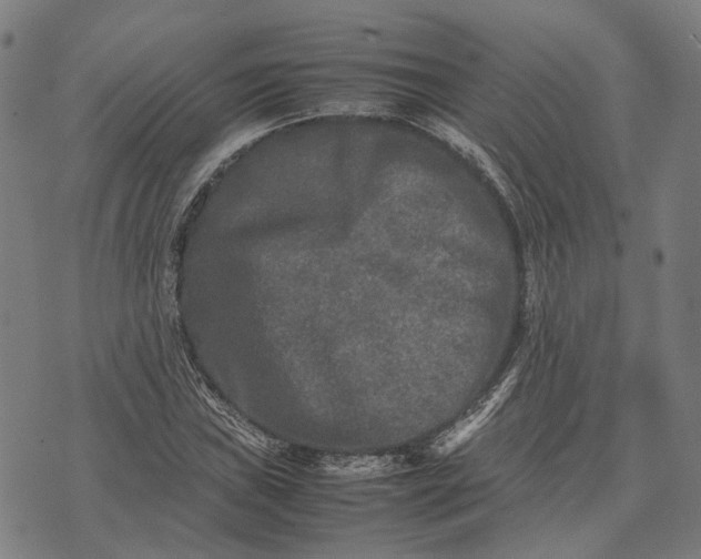 X0000070391019200606231732