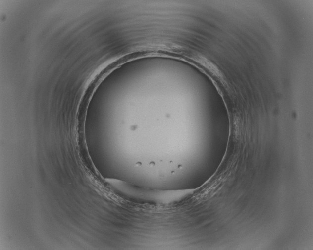 X0000070391020200606231732