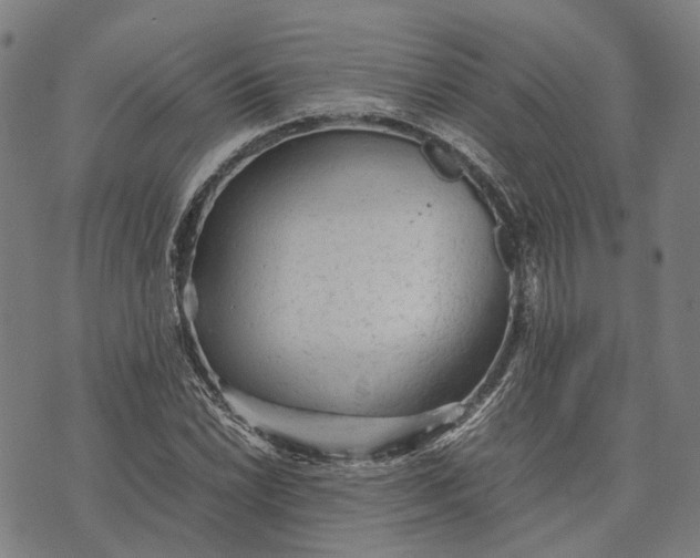 X0000070391022200606231732