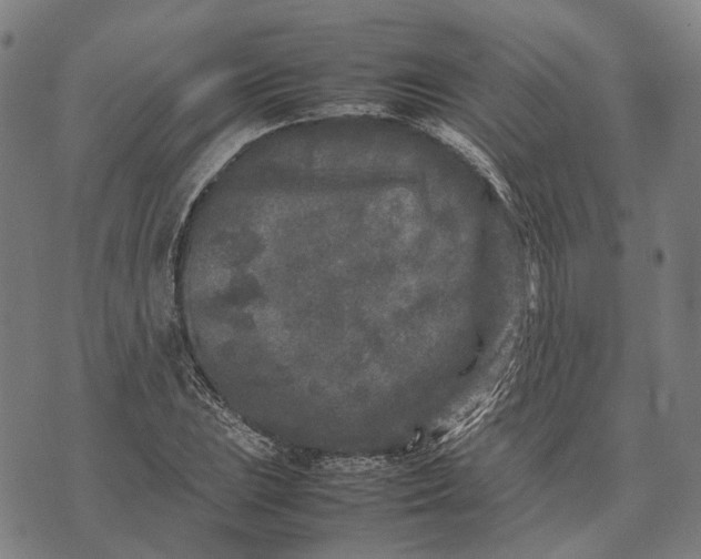 X0000070391023200606231732