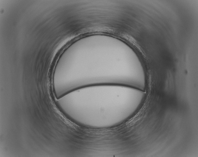 X0000070391024200606231732