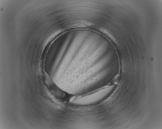 X0000070391026200606231732