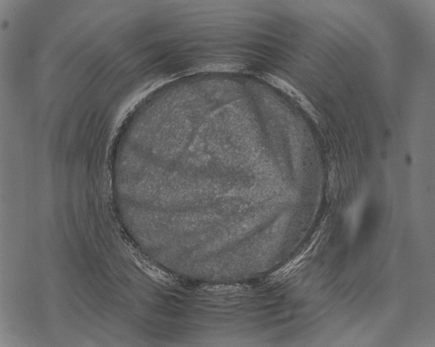 X0000070391027200606231732