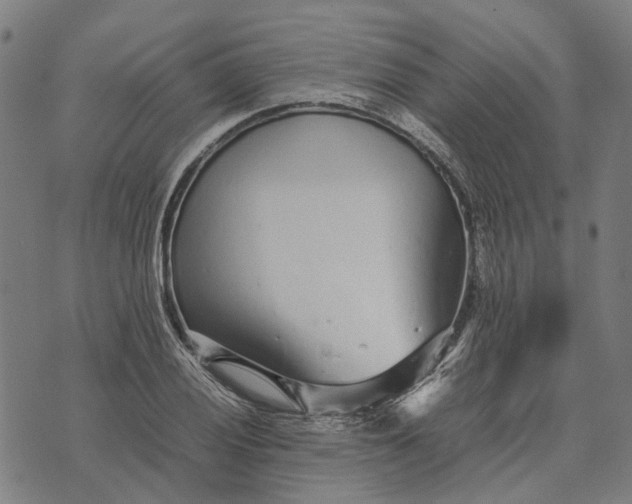 X0000070391028200606231732