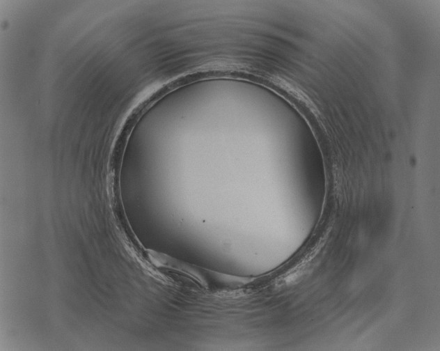 X0000070391029200606231732