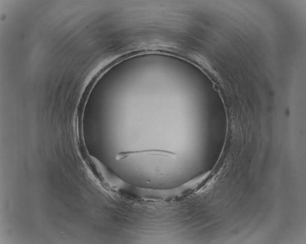 X0000070391032200606231732