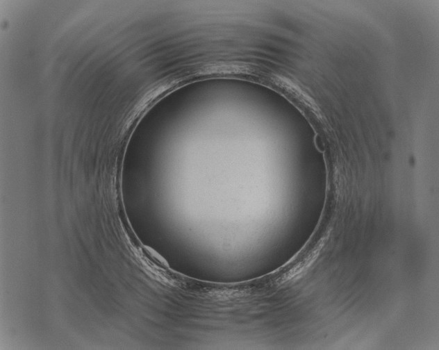 X0000070391033200606231732