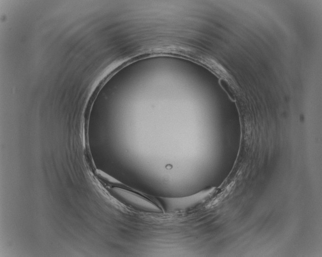 X0000070391036200606231732