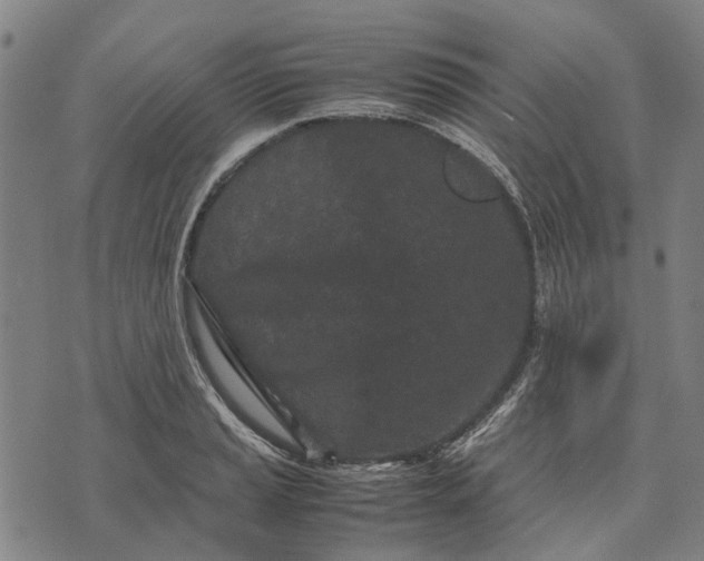 X0000070391037200606231732