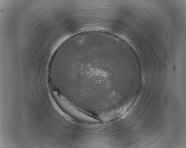 X0000070391038200606231732