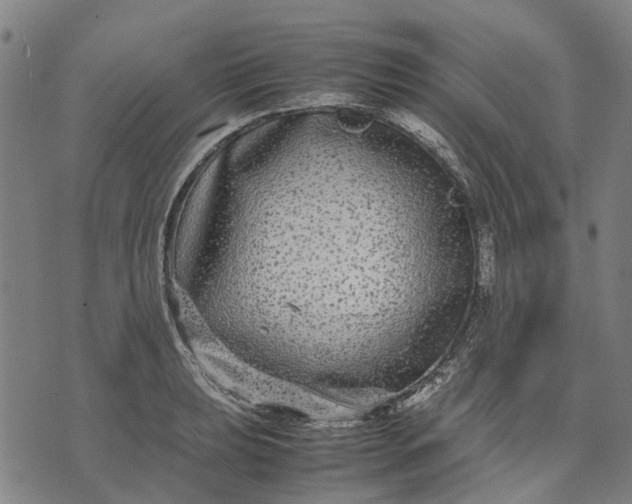 X0000070391039200606231732