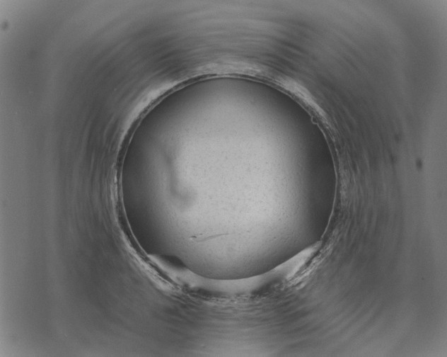 X0000070391040200606231732