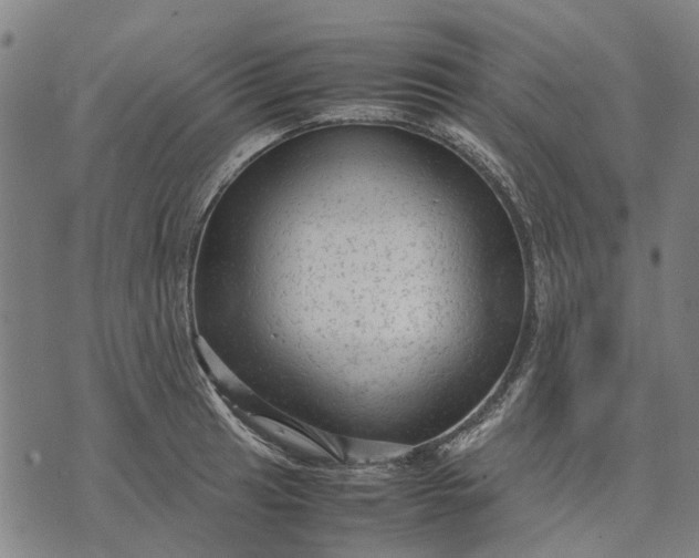 X0000070391041200606231732