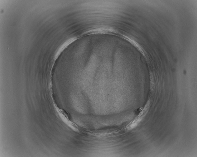 X0000070391042200606231732