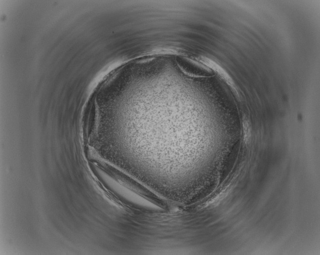 X0000070391043200606231732