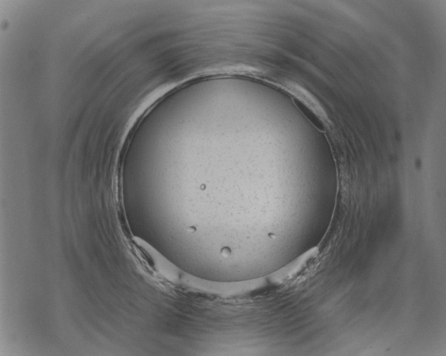 X0000070391044200606231732