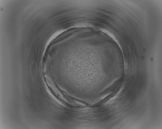 X0000070391045200606231732