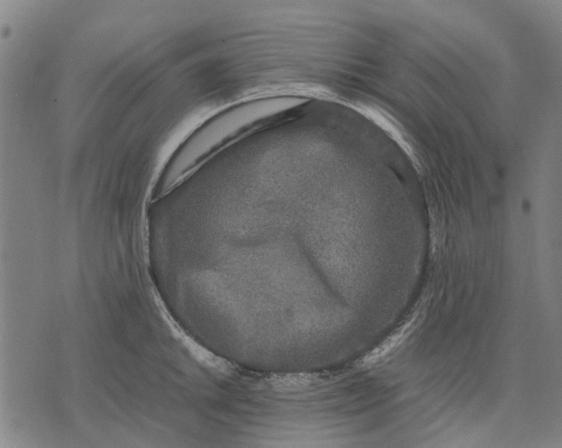 X0000070391046200606231732