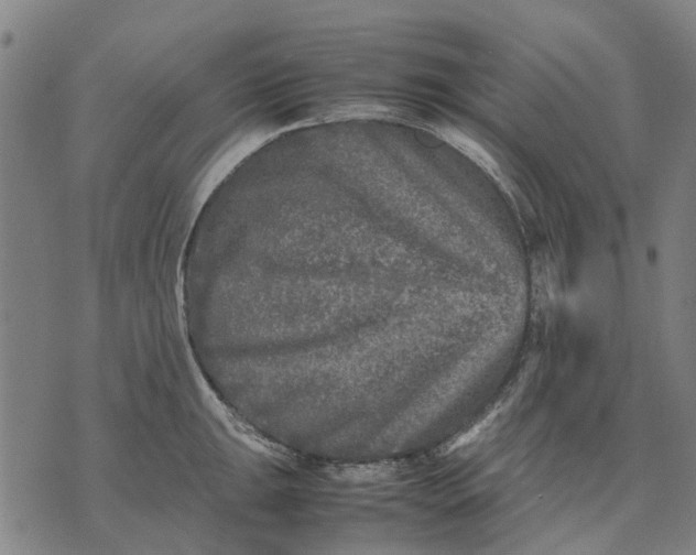 X0000070391047200606231732