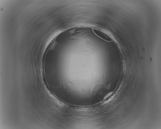 X0000070391048200606231732