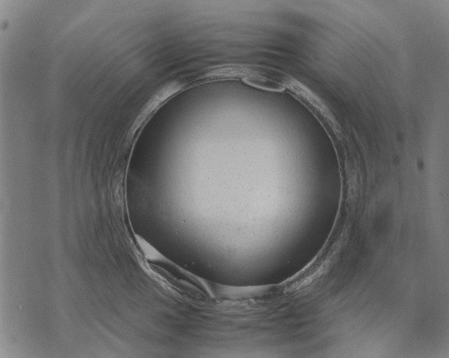 X0000070391049200606231732